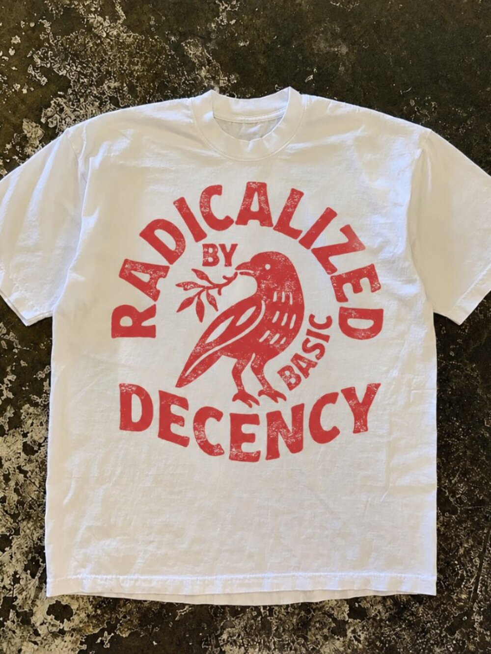 Radicalized By Basic Decency T-shirt, Activist Tee Reprint